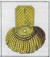21 - Epaulet Brig.Gen. 1806